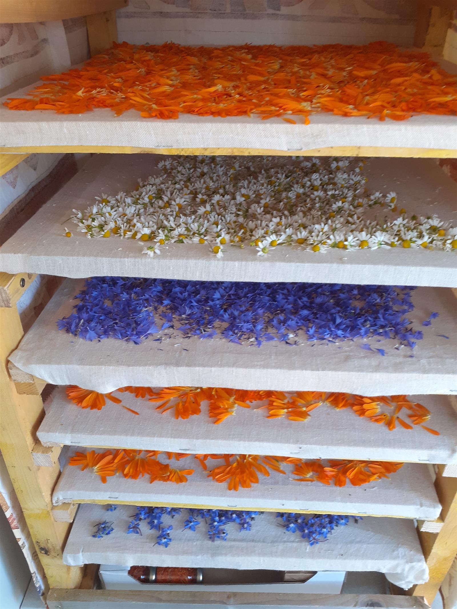 séchage des fleurs