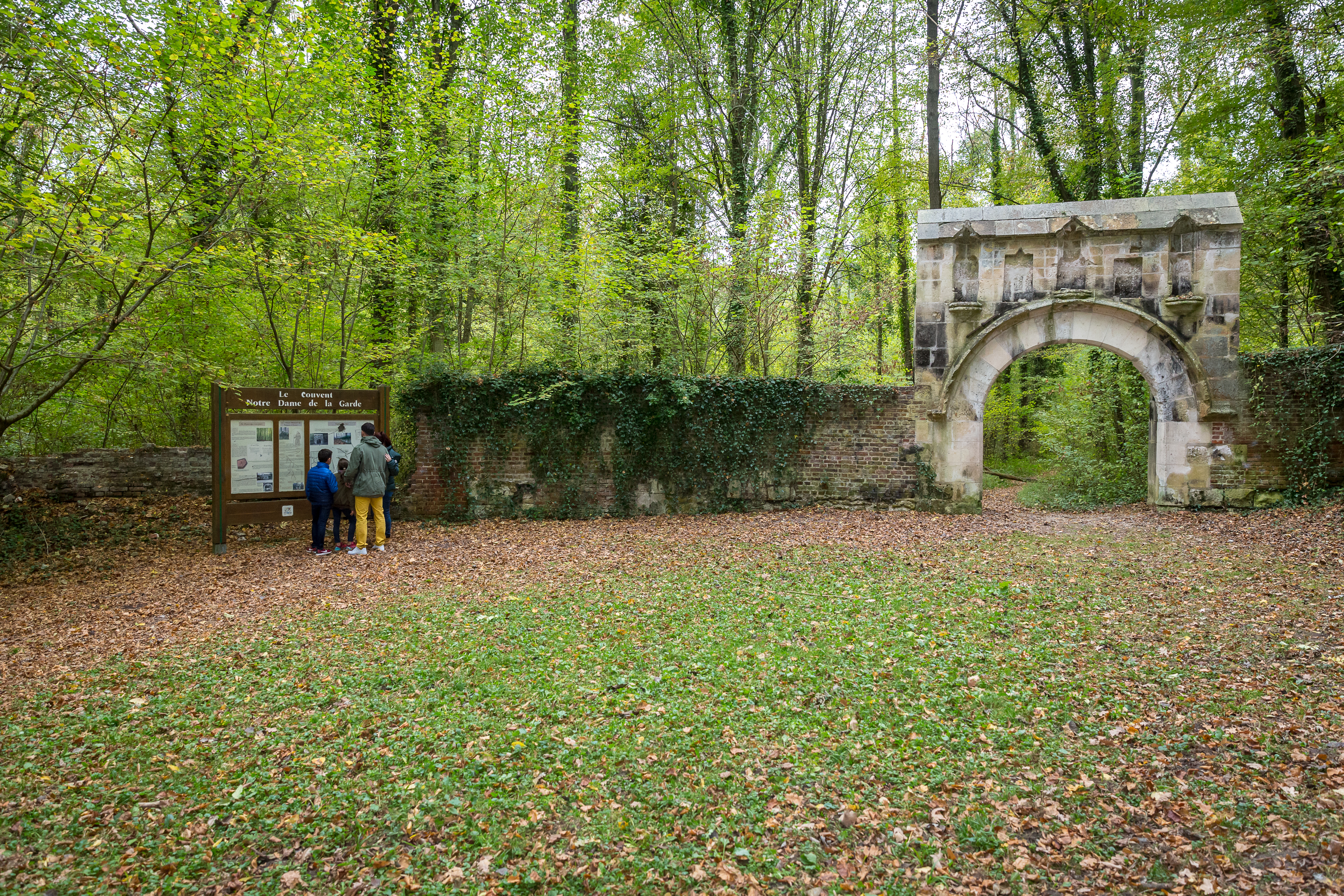 Forêt domaniale de Hez-Froidmont