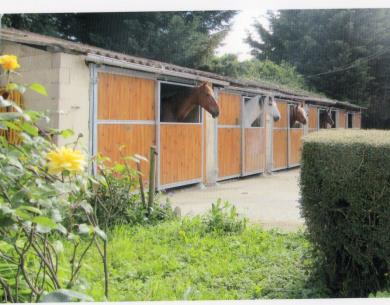 les boxes