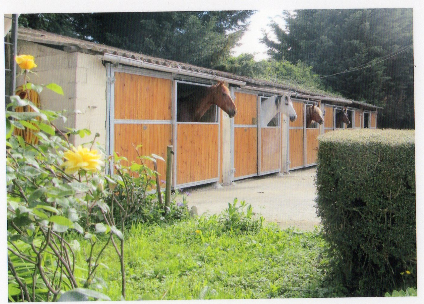 les boxes