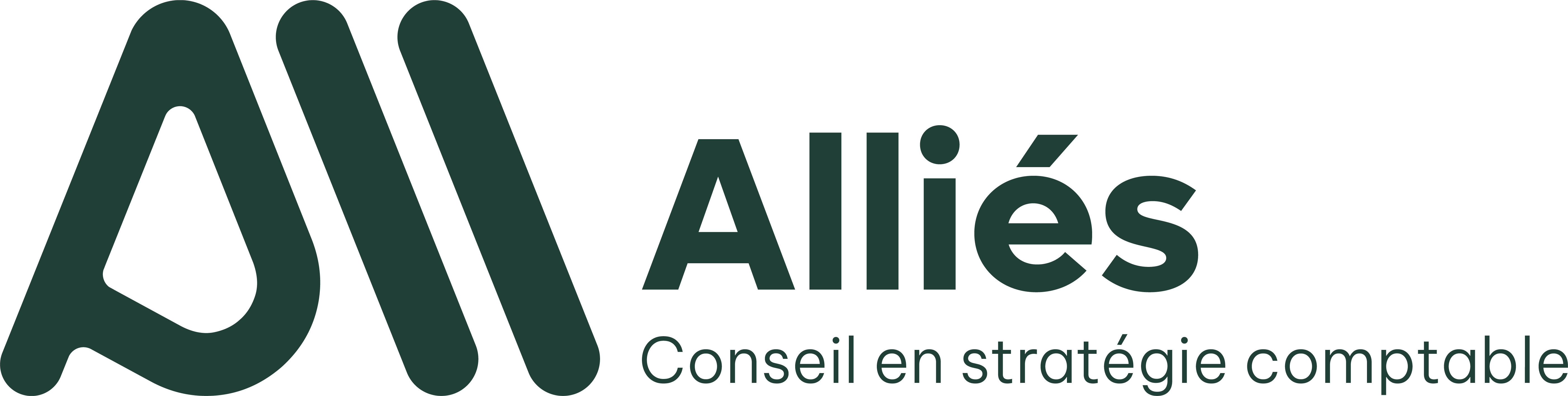 Logo Alliès Conseil