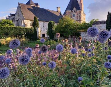 manoir_du_plessis_au_bois - 31-12-2032 -20210801_195320