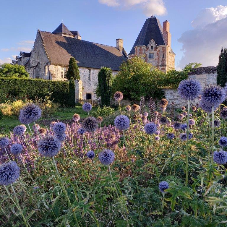 manoir_du_plessis_au_bois - 31-12-2032 -20210801_195320
