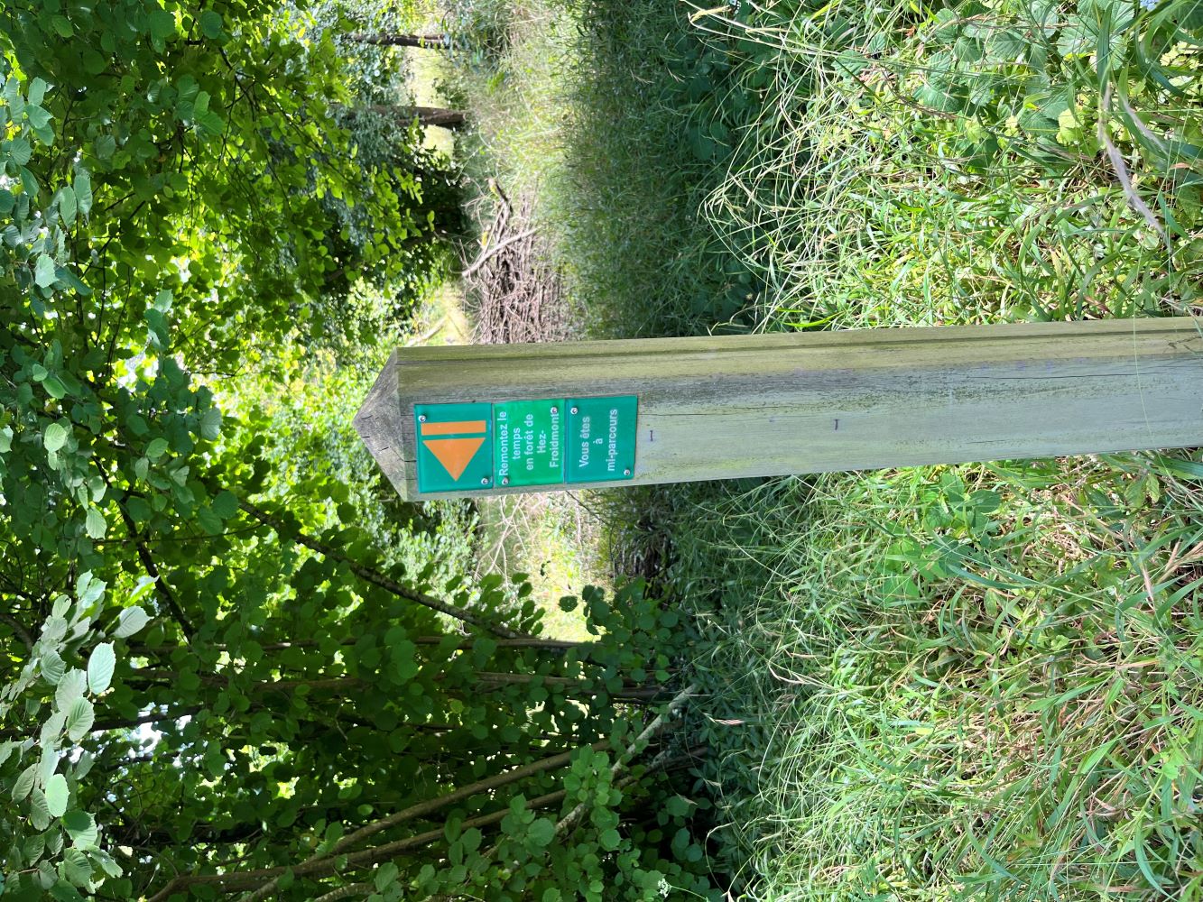 Remontez le temps en forêt de Hez-Froidmont, La Neuville-en-Hez - photo 6