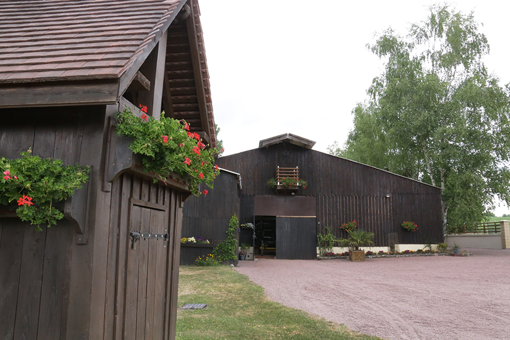 musee-cheval-sacylegrand