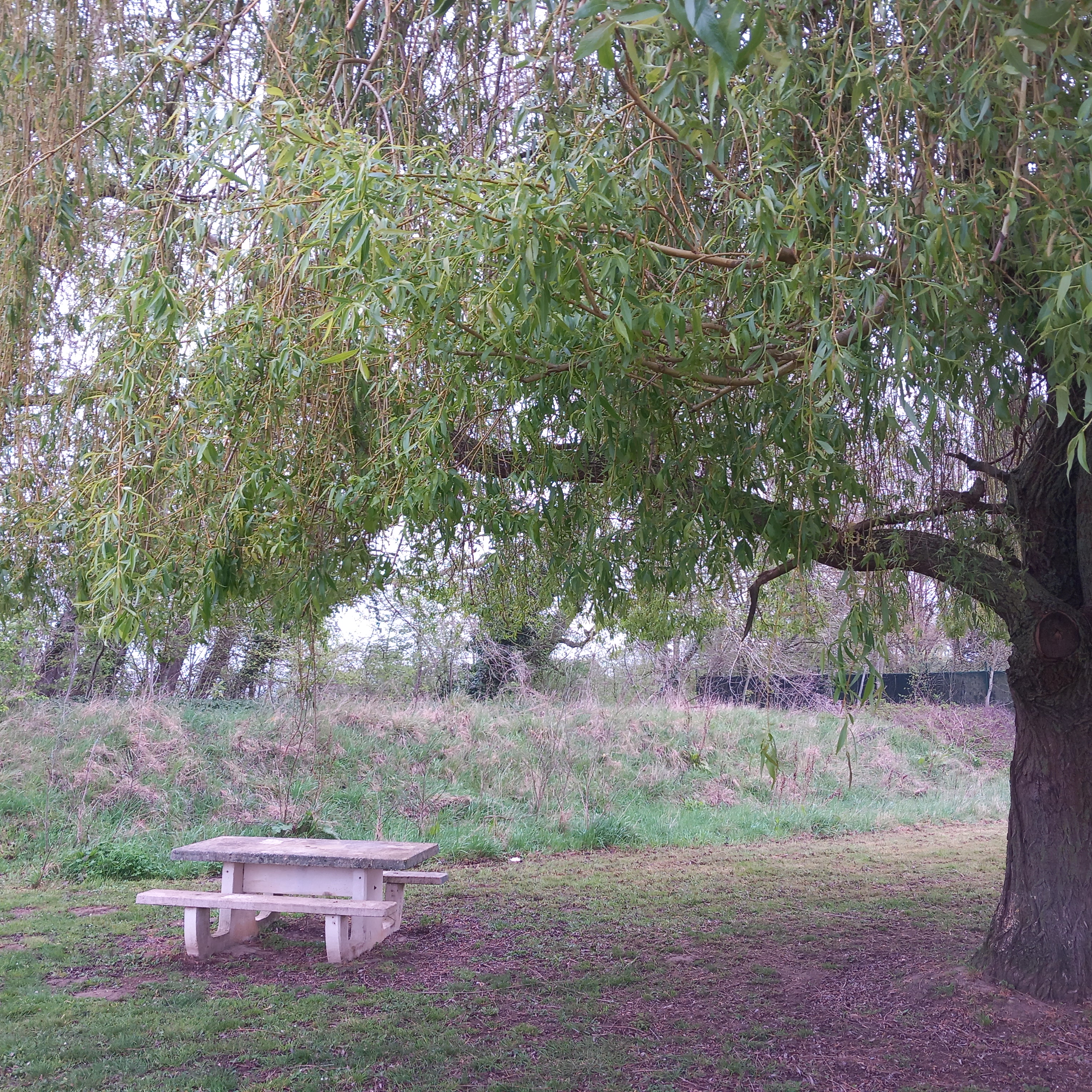 Pique-nique à Le-Plessis-Brion