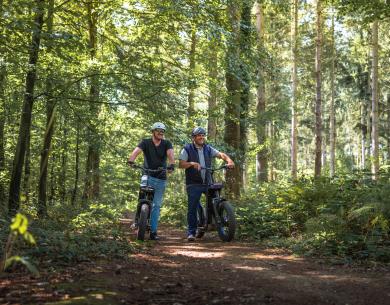 Quadtrot Aventure