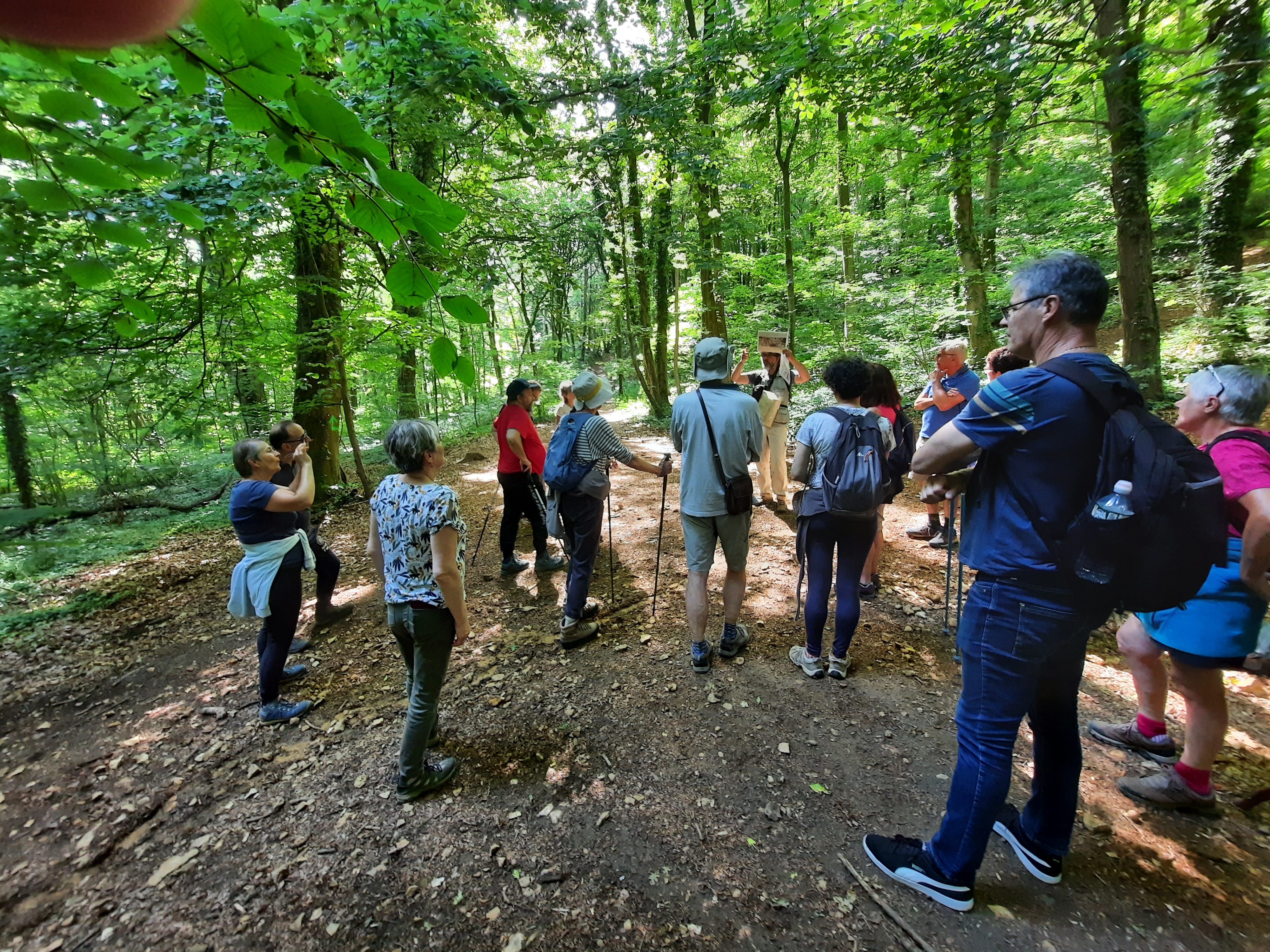 Entre Mont-César et Marais de Sacy