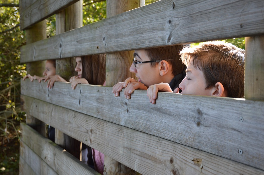 reserveoiseau-observatoire-pontsaintemaxence