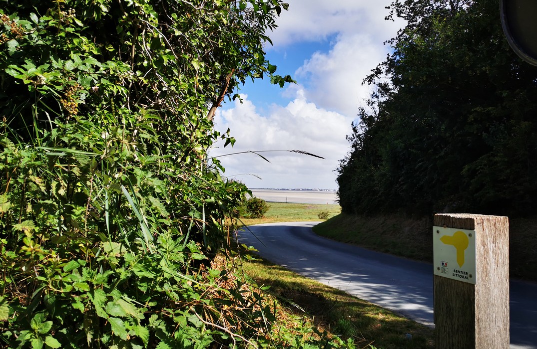 Location de vélo - Cap Hornu