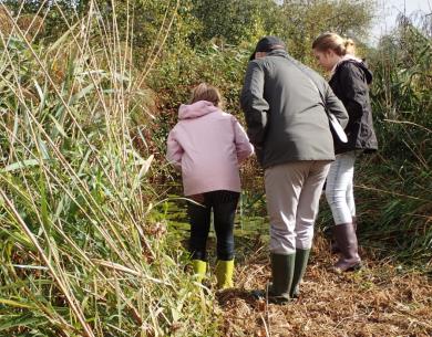 Le marais de Sacy