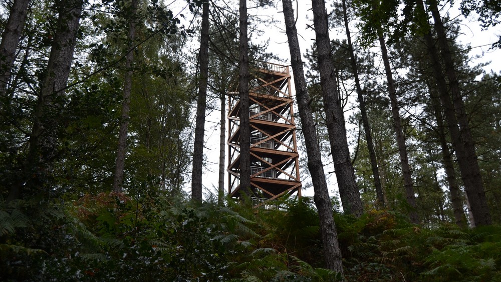 tour mangin en forêt de Retz